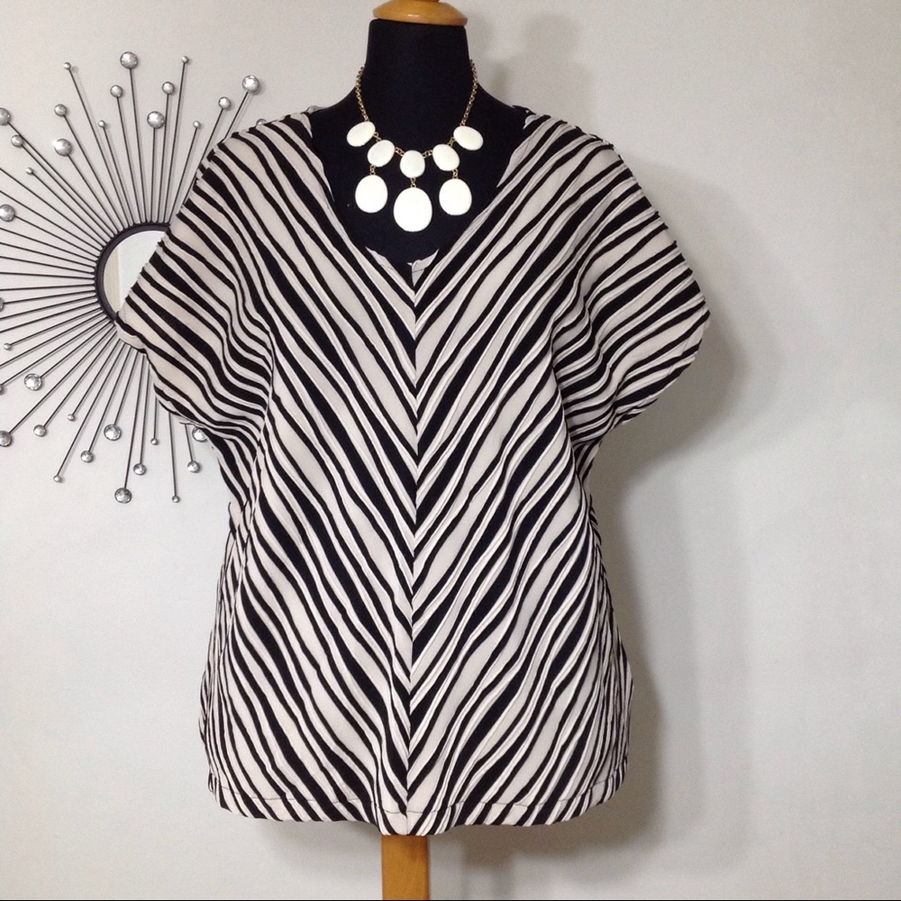 Plus Size V-Neck Top